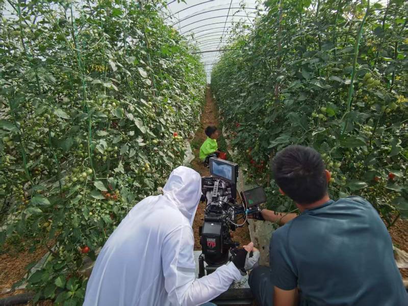 巴林右旗产品宣传视频拍摄公司进阶指南，助力品牌抢占传播高地